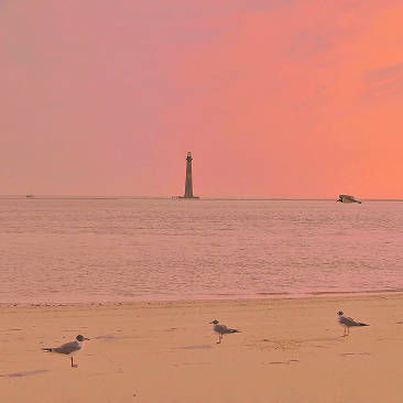 Folly