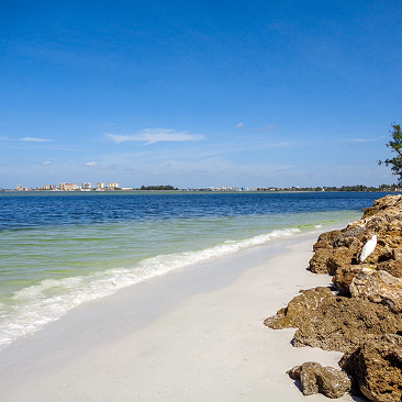 Siesta Key